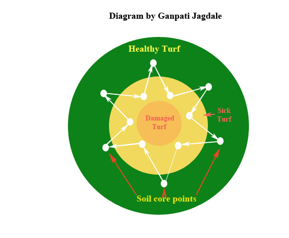 diagram of concentric circles showing damaged turf surrounded by sick turf surrounded by healthy turf. Soil core points are around the healthy and sick turf